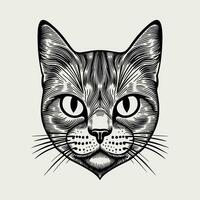 Cute cat vector black and white cartoon character design collection. White background. Pets, Animals.