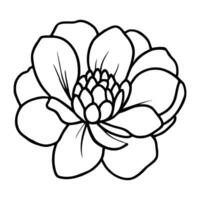 Hand drawn simple flower illustration vector