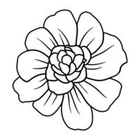 Hand drawn simple flower illustration vector