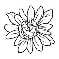 Hand drawn simple flower illustration vector