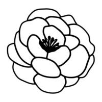 Hand drawn simple flower illustration vector