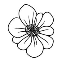 Hand drawn simple flower illustration vector