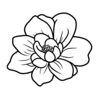 Hand drawn simple flower illustration vector