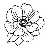 Hand drawn simple flower illustration vector