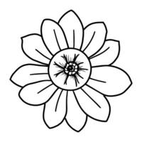 Hand drawn simple flower illustration vector