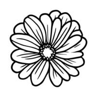 Hand drawn simple flower illustration vector