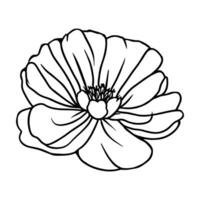 Hand drawn simple flower illustration vector