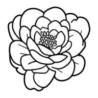 Hand drawn simple flower illustration vector