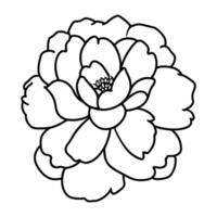 Hand drawn simple flower illustration vector