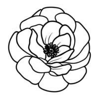 Hand drawn simple flower illustration vector