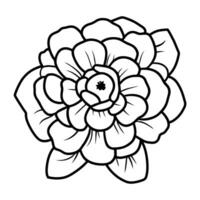 Hand drawn simple flower illustration vector