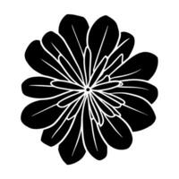 Hand drawn simple flower illustration vector