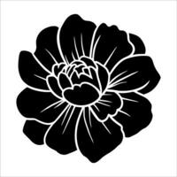 Hand drawn simple flower illustration vector