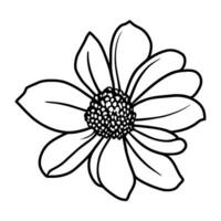 Hand drawn simple flower illustration vector