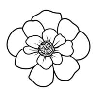 Hand drawn simple flower illustration vector