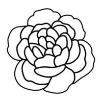 Hand drawn simple flower illustration vector