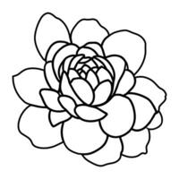 Hand drawn simple flower illustration vector