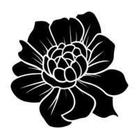 Hand drawn simple flower illustration vector