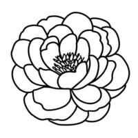 Hand drawn simple flower illustration vector