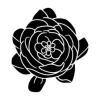 Hand drawn simple flower illustration vector