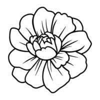 Hand drawn simple flower illustration vector