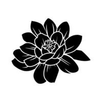 Hand drawn simple flower illustration vector