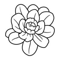 Hand drawn simple flower illustration vector