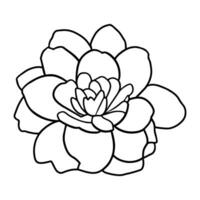 Hand drawn simple flower illustration vector