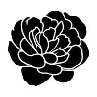 Hand drawn simple flower illustration vector