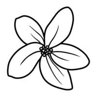 Hand drawn simple flower illustration vector