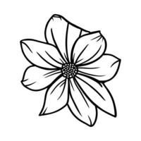 Hand drawn simple flower illustration vector