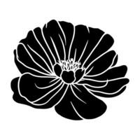 Hand drawn simple flower illustration vector