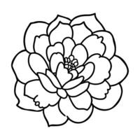 Hand drawn simple flower illustration vector