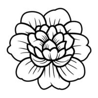 Hand drawn simple flower illustration vector