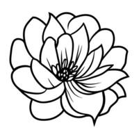 Hand drawn simple flower illustration vector