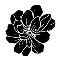 Hand drawn simple flower illustration vector