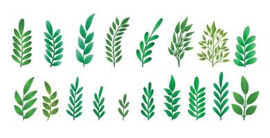 set of realistic leaves for christmas decoration design vector