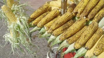 Grilled Corn for sale in a market stall in istanbul video