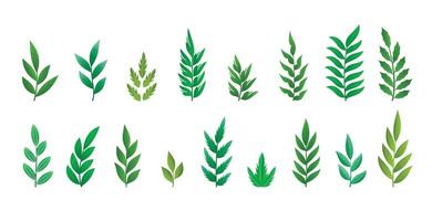 collection of decorative christmas leaves ornament design vector