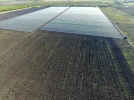 filas de transparente invernaderos en el campo. creciente vegetales en un cerrado suelo. invernaderos en el campo foto