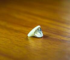 Tooth, metal ceramic crown on the table. Denture made of metal ceramics photo