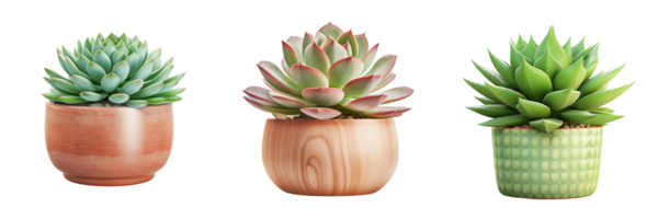AI generated succulent plant in green vase on transparent background png
