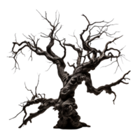 AI generated creepy dead tree Isolated on transparent background png