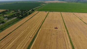 Harvesting barley harvesters. Fields of wheat and barley, the work of agricultural machinery. Combine harvesters and tractors photo