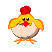 Chicken baby peeking out of the cracked egg. Chicken isolated on transparent background. png