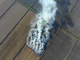 Burning straw in the fields after harvesting wheat crop photo