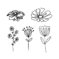 Set of handmade flowers in Doodle style. vector