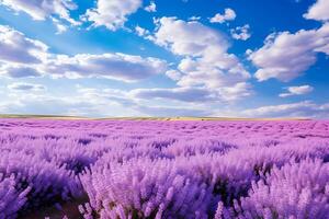 ai generado expansivo lavanda campo y nublado horizonte foto