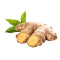 AI generated ginger root on transparent background png