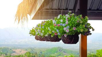 Artificial flower in hanging pots photo